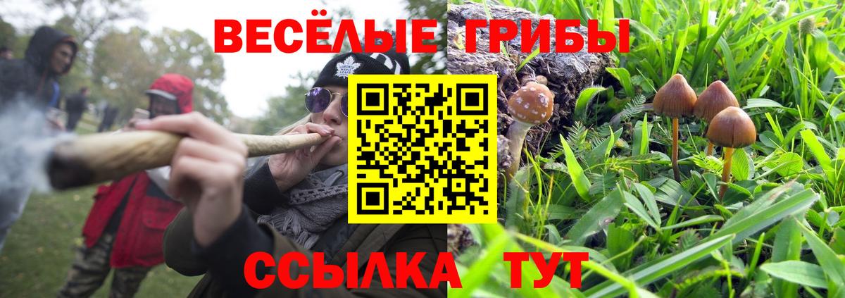 Псилоцибиновые грибы GOLDEN TEACHER  Вход с VPN  Псилоцибиновые грибы Magic Shrooms  закладки  Йошкар-Ола 